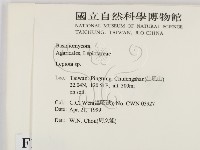 登錄號:F0012684藏品圖，第2張