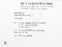 登錄號:F0012685藏品圖，第2張