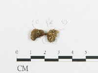 登錄號:F0012685藏品圖，第3張