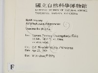 登錄號:F0012687藏品圖，第2張