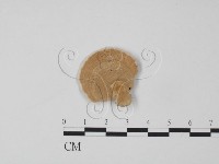 登錄號:F0012687藏品圖，第3張