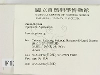 登錄號:F0012688藏品圖，第2張