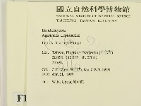 登錄號:F0012689藏品圖，第2張