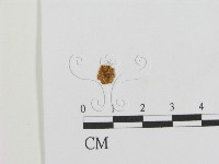 登錄號:F0012689藏品圖，第1張