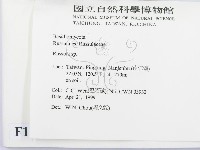 紅菇屬藏品圖，第2張