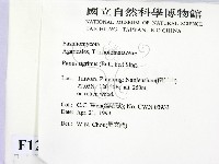 登錄號:F0012691藏品圖，第2張