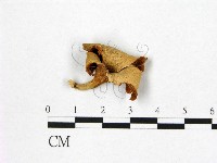 登錄號:F0012691藏品圖，第1張