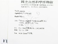 登錄號:F0012692藏品圖，第2張