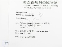 登錄號:F0012693藏品圖，第2張