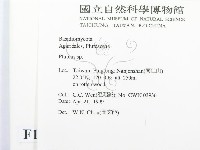 登錄號:F0012694藏品圖，第2張