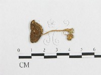 登錄號:F0012694藏品圖，第3張