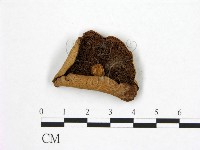 登錄號:F0012696藏品圖，第3張