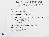 登錄號:F0012699藏品圖，第2張