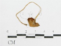 登錄號:F0012699藏品圖，第1張