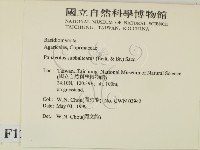 登錄號:F0012700藏品圖，第2張