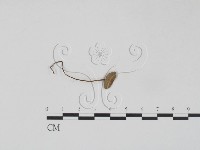 登錄號:F0012700藏品圖，第1張