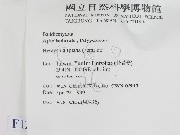 登錄號:F0012703藏品圖，第2張
