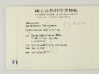 登錄號:F0012704藏品圖，第2張