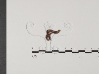 登錄號:F0012704藏品圖，第3張