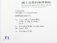 登錄號:F0012707藏品圖，第2張