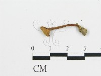 登錄號:F0012707藏品圖，第3張