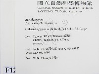 登錄號:F0012711藏品圖，第2張
