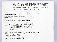 登錄號:F0012712藏品圖，第2張
