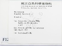 紅菇屬藏品圖，第2張
