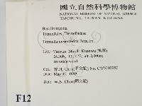 登錄號:F0012715藏品圖，第2張