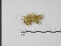 登錄號:F0012715藏品圖，第3張