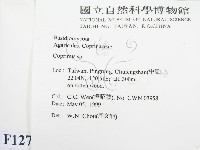 鬼傘屬藏品圖，第2張
