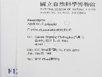 登錄號:F0012717藏品圖，第2張
