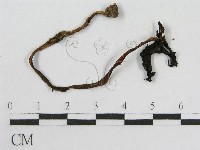 登錄號:F0012717藏品圖，第3張