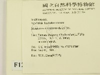 登錄號:F0012719藏品圖，第2張