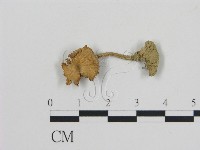 登錄號:F0012720藏品圖，第3張
