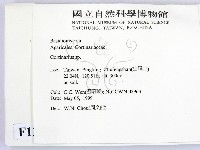 登錄號:F0012721藏品圖，第2張