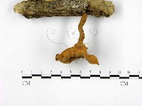 登錄號:F0012722藏品圖，第1張