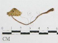 登錄號:F0012723藏品圖，第3張
