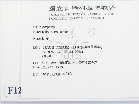 紅菇屬藏品圖，第2張
