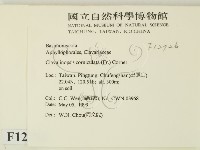 登錄號:F0012726藏品圖，第2張