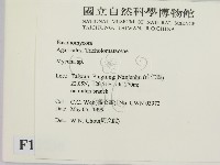 小菇屬藏品圖，第2張