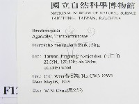 登錄號:F0012732藏品圖，第2張