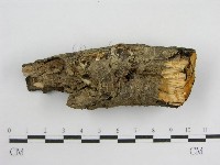 登錄號:F0012732藏品圖，第1張