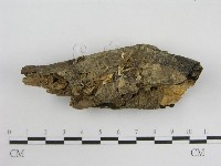 登錄號:F0012732藏品圖，第3張