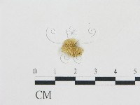 登錄號:F0012733藏品圖，第1張