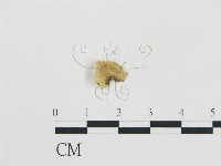 登錄號:F0012733藏品圖，第3張