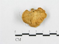 登錄號:F0012735藏品圖，第3張
