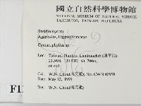 登錄號:F0012736藏品圖，第2張