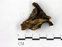 登錄號:F0012738藏品圖，第3張