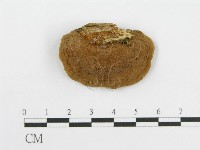 登錄號:F0012739藏品圖，第3張